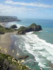 Bethells Beach