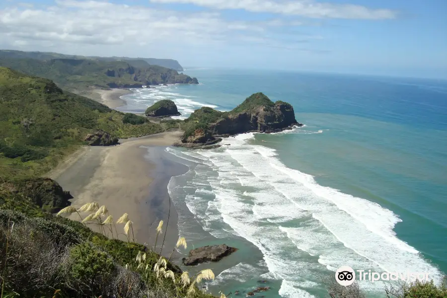 Bethells Beach