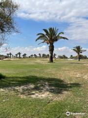 Palm Links Golf Course