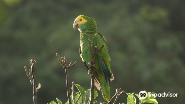 Echo Dos Pos Conservation Centre
