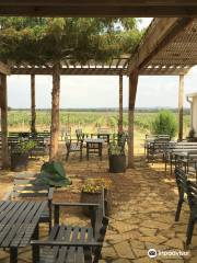 Hilmy Cellars - Vineyards, Winery & Tasting Room