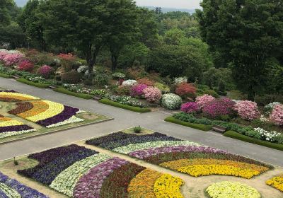 Gunma Flower Park