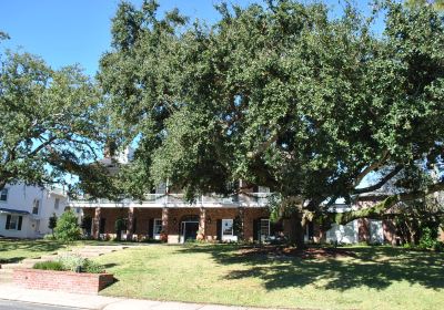 Université de l’état de Louisiane