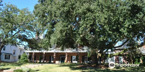 路易斯安那州立大學聯盟