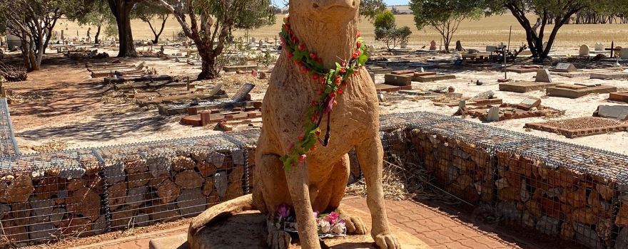Corrigin Dog Cemetery