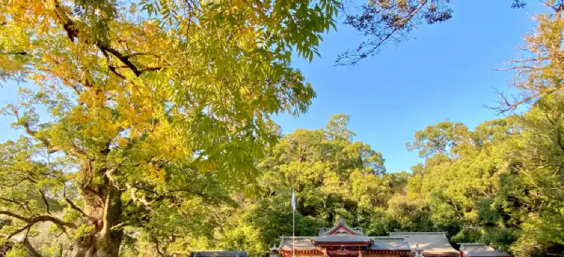 Hotels in Aira