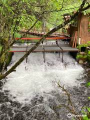 Bear Creek Weir