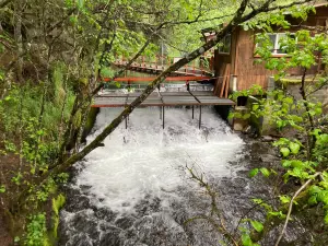 Bear Creek Weir