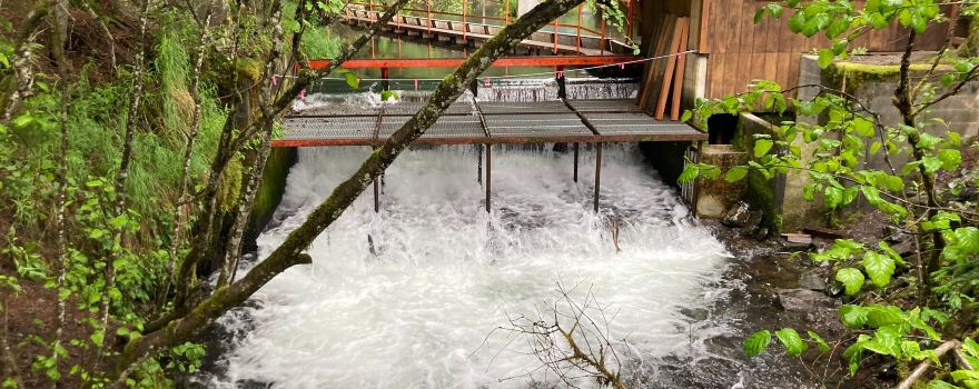 Bear Creek Weir