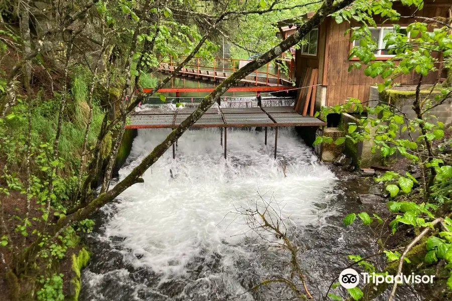 Bear Creek Weir