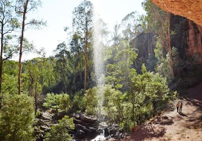 Paradise Falls