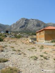 Forêt pétrifiée de Lesbos