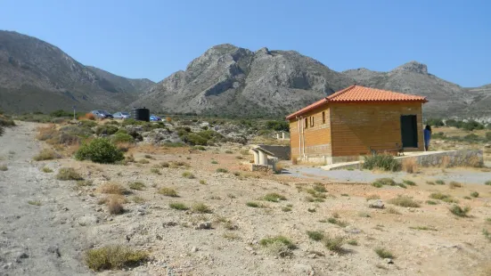 Petrified Forest of Lesbos