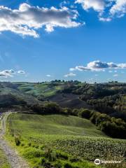 Crete Senesi