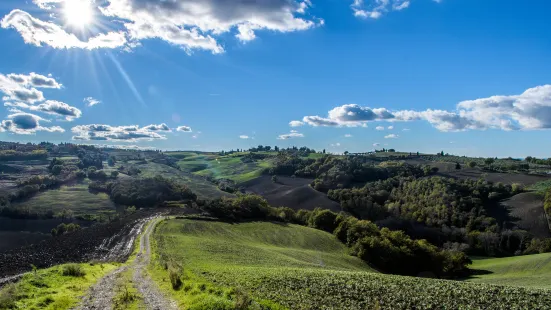 Crete Senesi