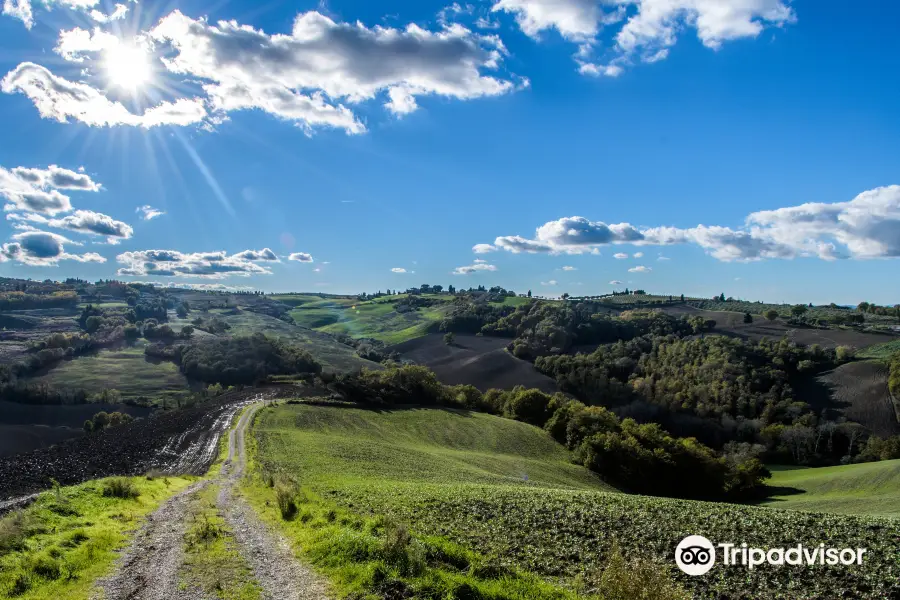 Crete Senesi