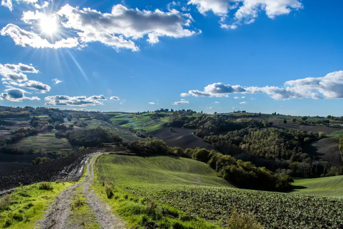 Hotels near Crete Senesi