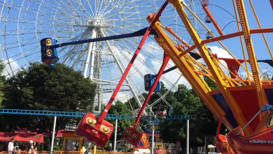 森林遊樂園