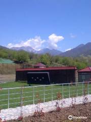 Gabala Shooting Club