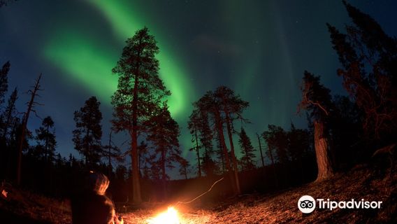 Muddus National Park