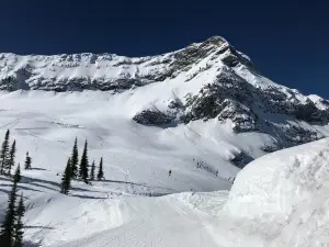 Fernie Alpine Resort