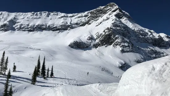 Fernie Alpine Resort