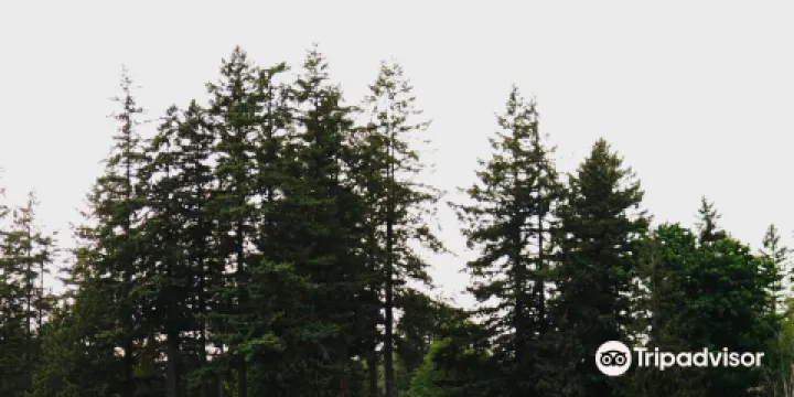 Rosaryville State Park