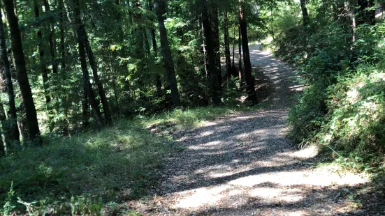 Loch Lomond Recreation Area