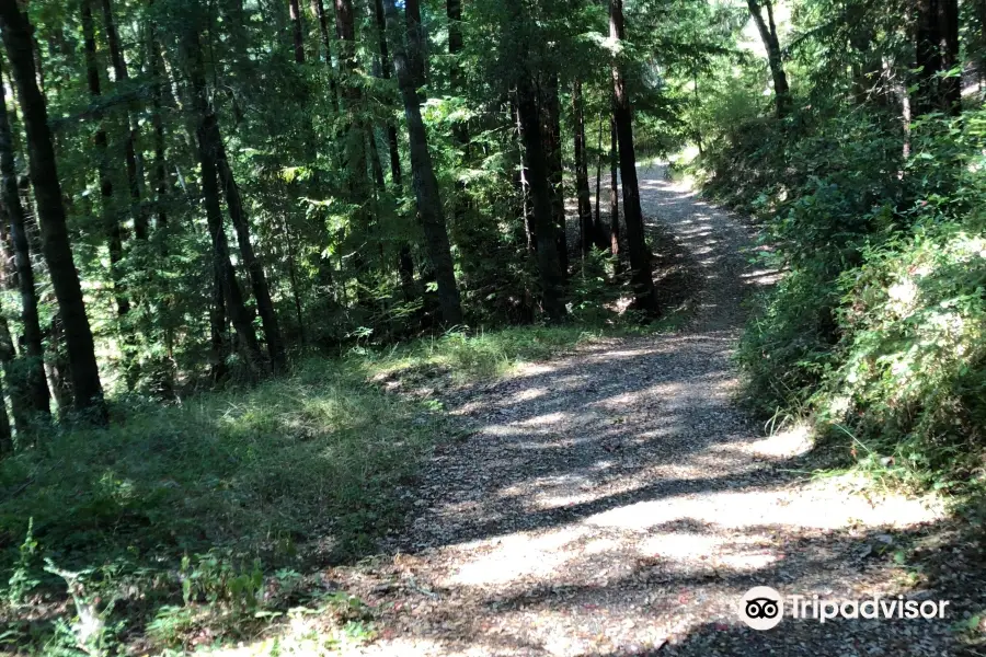 Loch Lomond Recreation Area