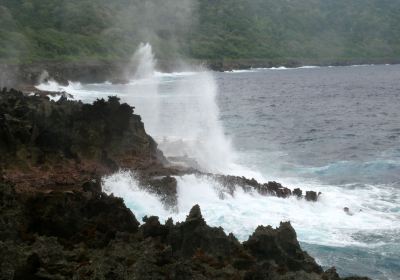 The Blowholes