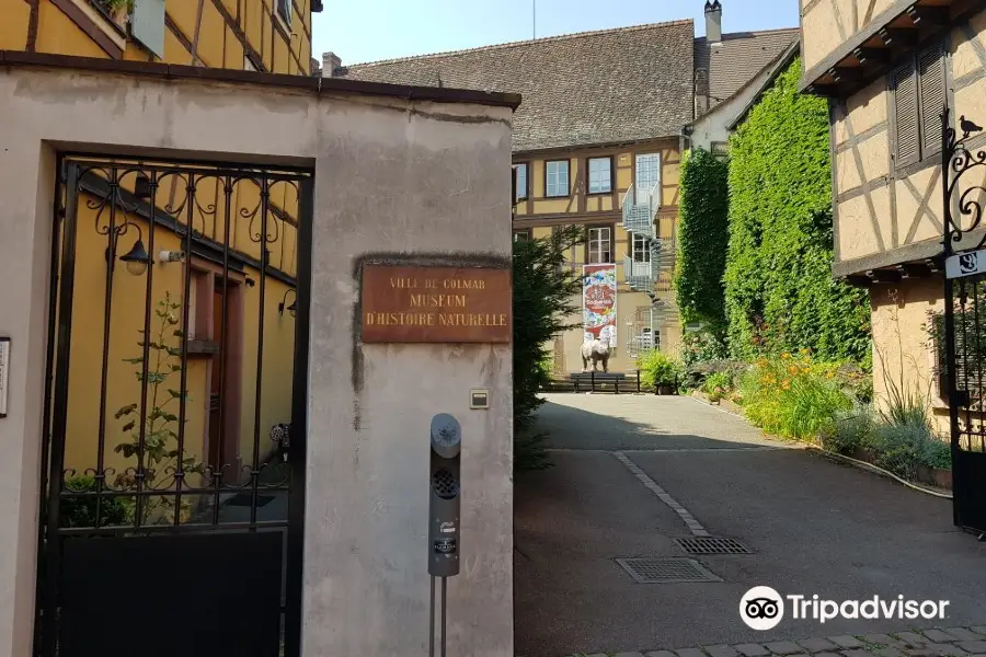 Le Musee d'Histoire Naturelle et d'Ethnographie