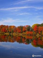 Shade's Mills Conservation Area