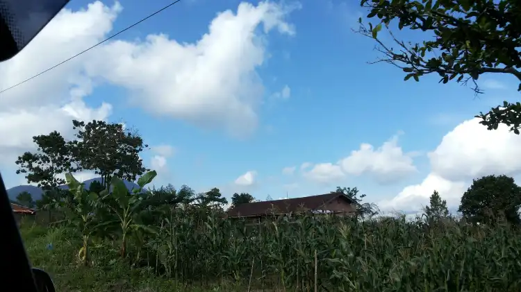 Hotel dekat Kue Talam (khas tarutung)