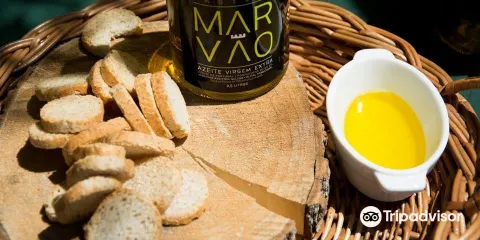 Melara Picado Nunes - Lagar Museu