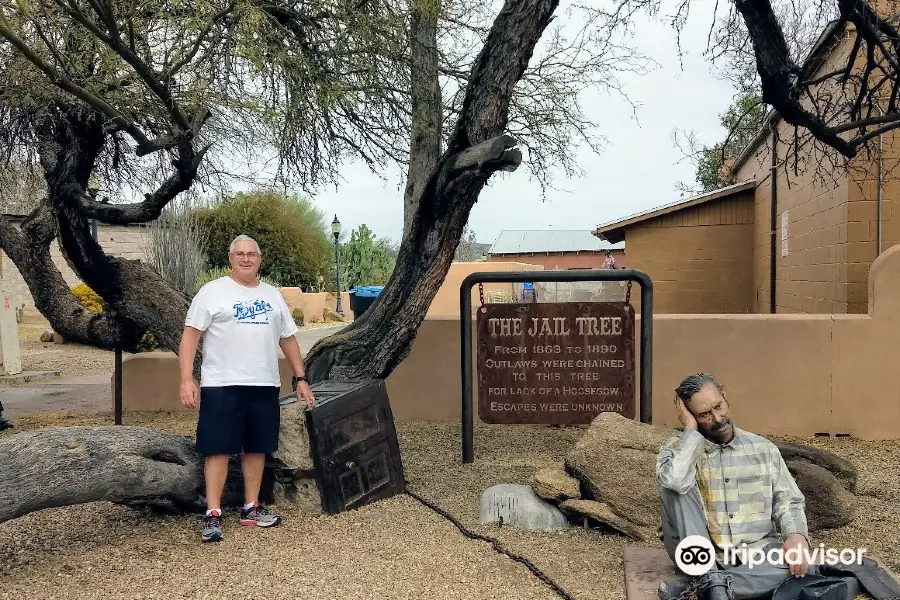 The Jail Tree