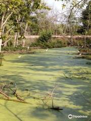 Lake County Forest Preserves