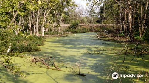 Lake County Forest Preserves