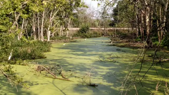 Hampton by Hilton Properties in Libertyville