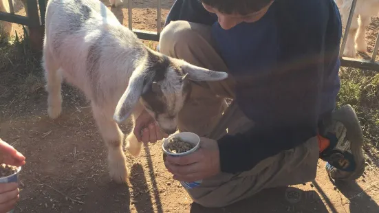 Cheshire Hollow Farm