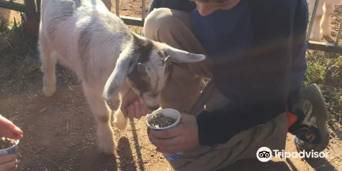 Cheshire Hollow Farm