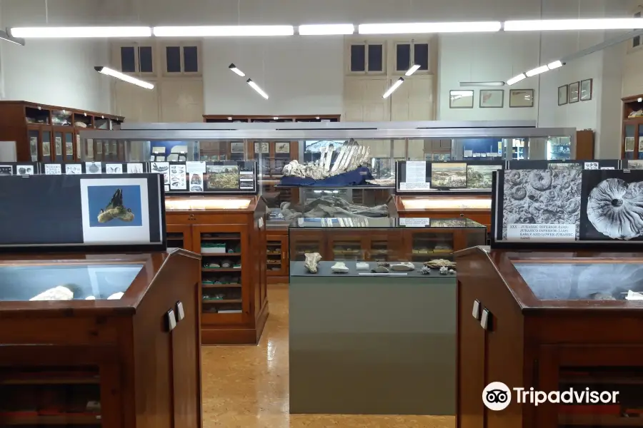 Museu Geologic del Seminari de Barcelona