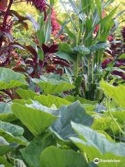 Le Jardin Pour la Terre