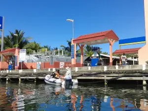 Placencia Municipal Pier & Plaza