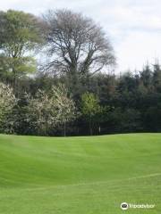 Swinford Golf Club