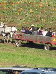 Olson Farms