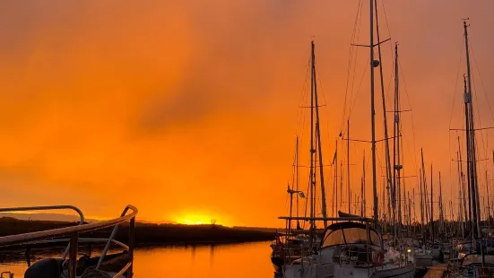 Suffolk Yacht Harbour