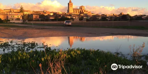 Galerie Can Gili Ricardo Gago