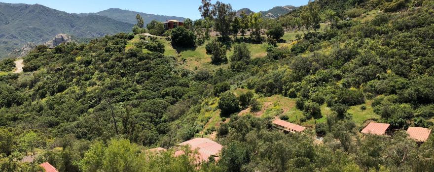 Los Angeles Horseback Riding