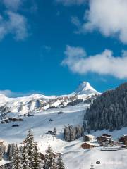 Skigebiet Damuls - Mellau - Faschina