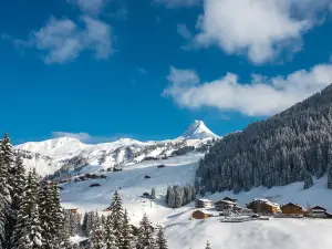 Damüls - Mellau - Faschina ski